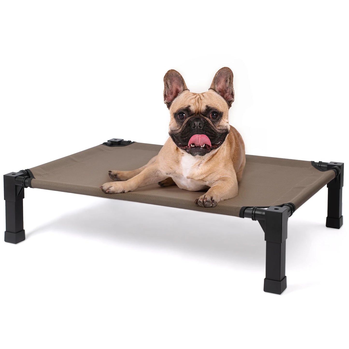 Elevated Dog Bed Cooling Raised Pet Cot Chew Proof Mesh