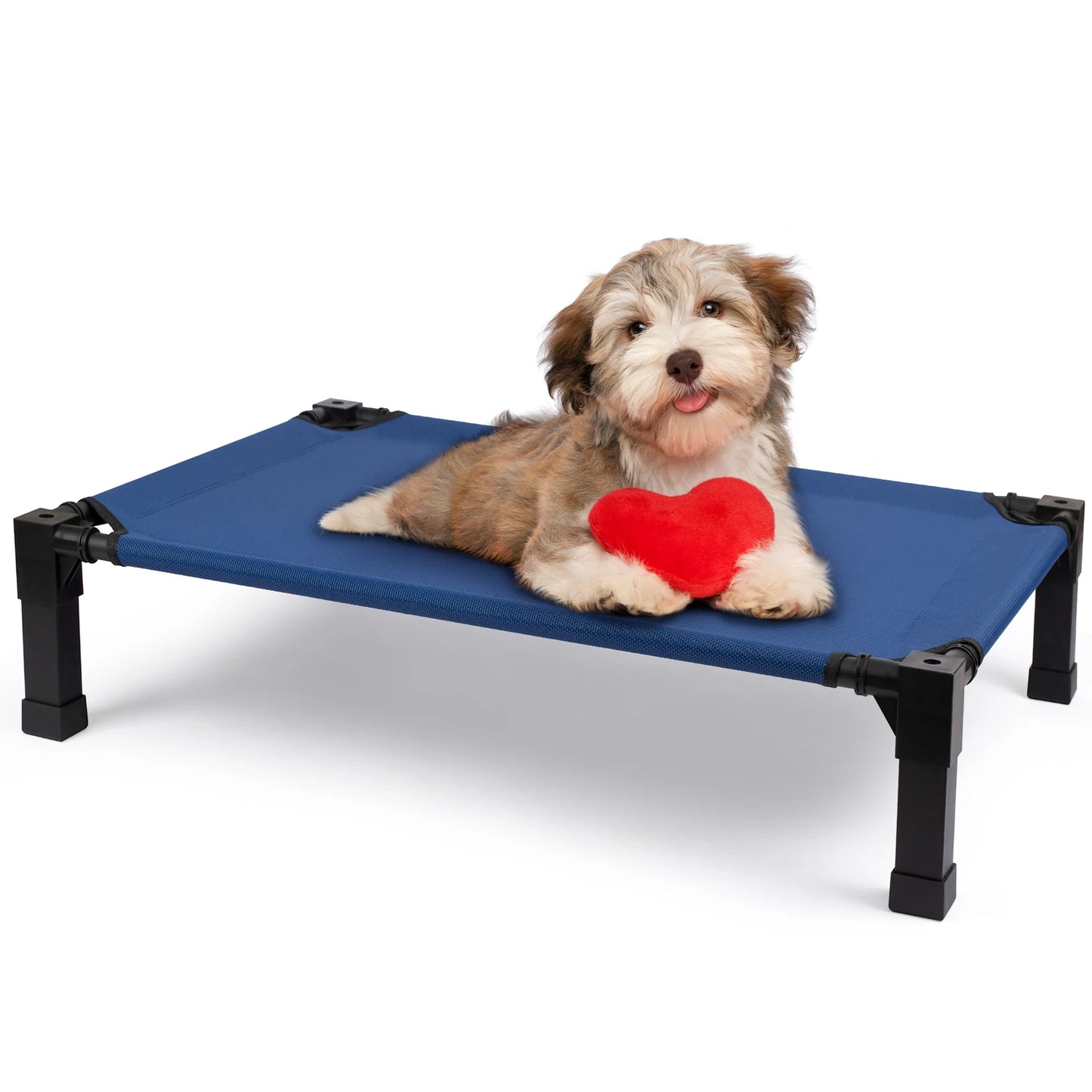 Elevated Dog Bed Cooling Raised Pet Cot Chew Proof Mesh