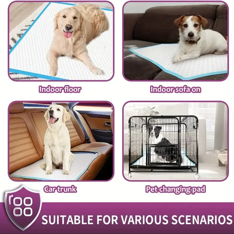 Premium Disposable Dog Training Pads With Superior Absorption And Leakproof