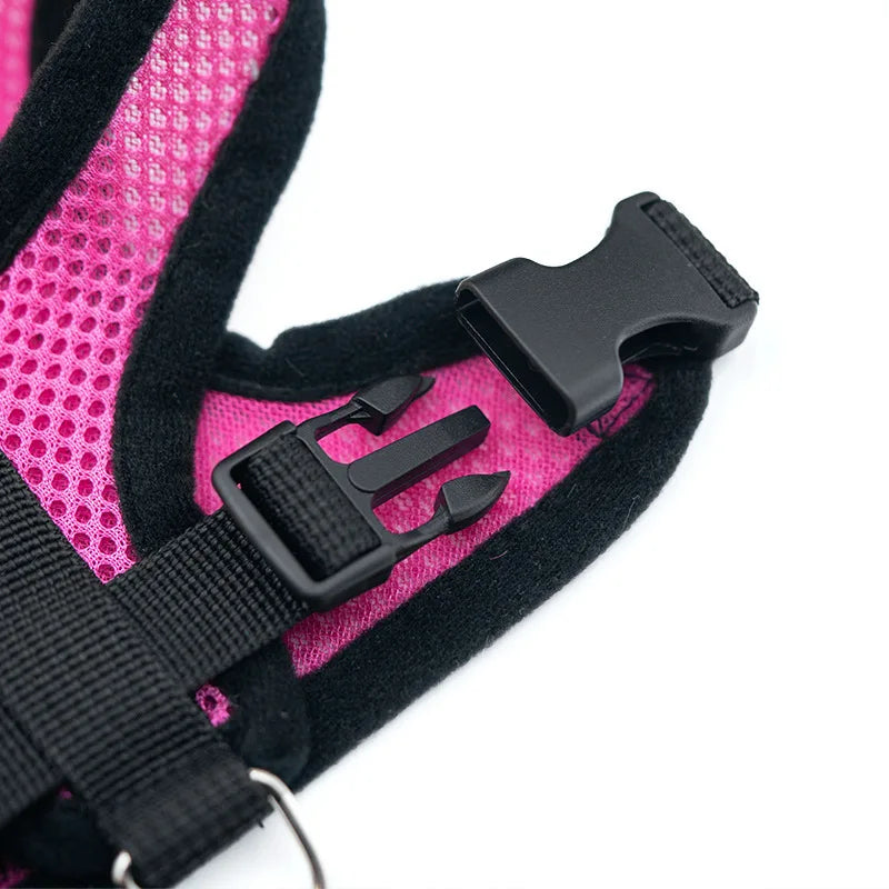 Breathable Dog Harness Chest And Back Set For Outdoor Use