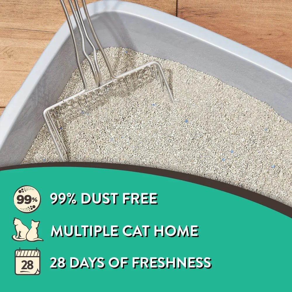 Clumping Clay Cat Litter Fresh Scent Odor Control 4 Pack