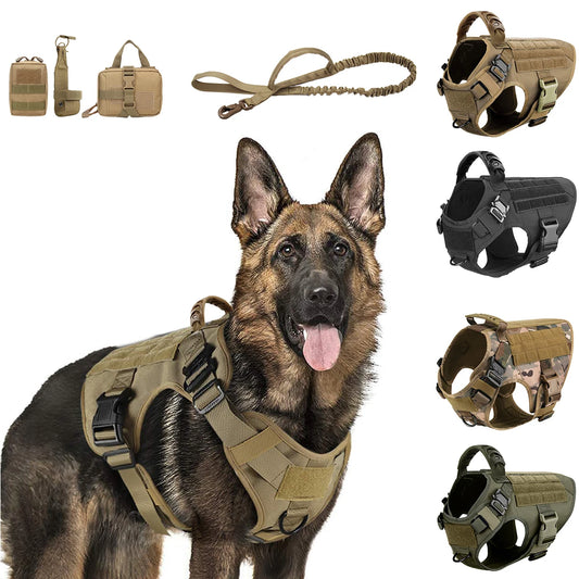 Petravel CN Dog Harness And Leash Set Training Walking Vest
