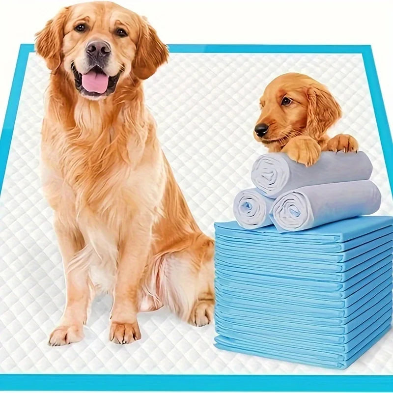 Premium Disposable Dog Training Pads With Superior Absorption And Leakproof
