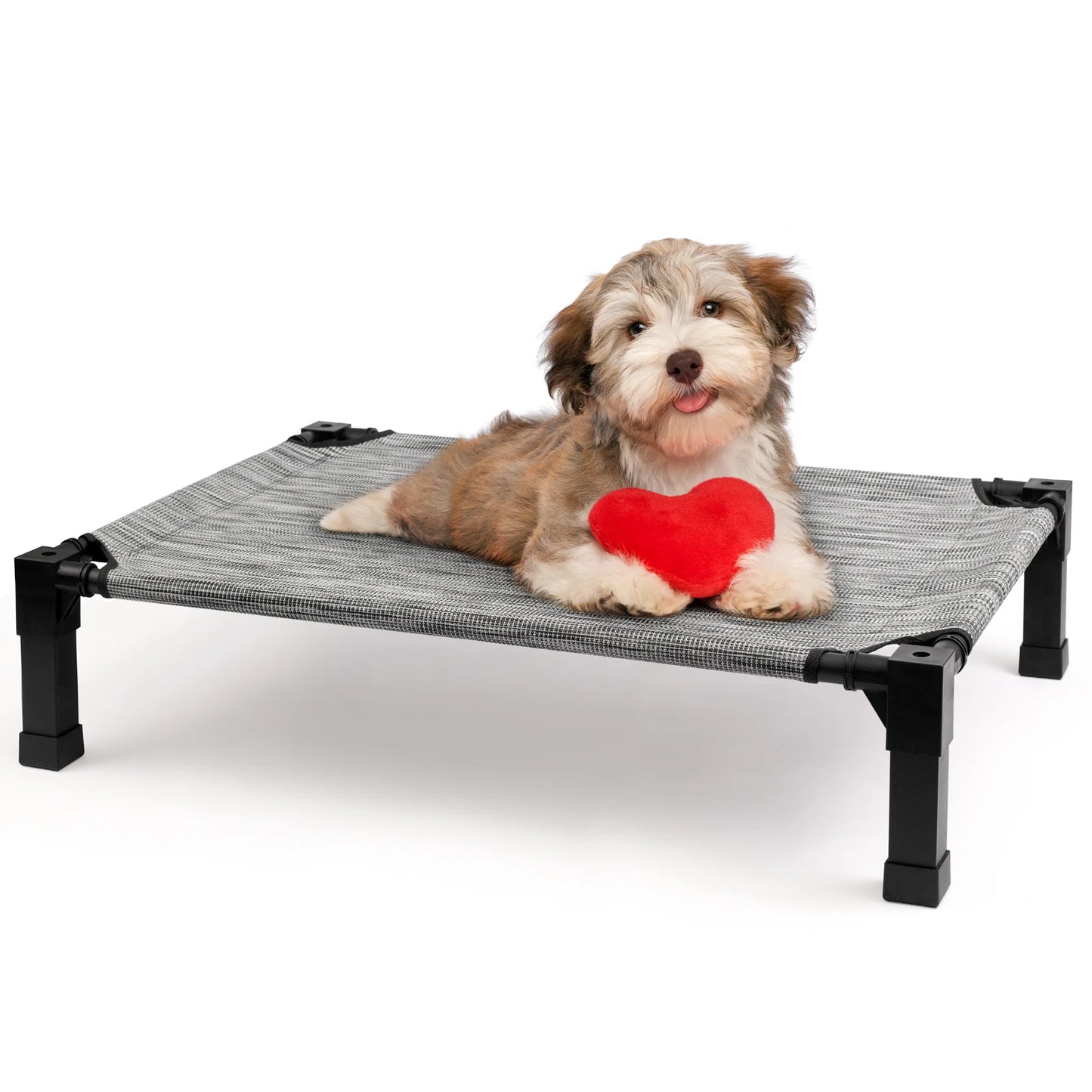 Elevated Dog Bed Cooling Raised Pet Cot Chew Proof Mesh