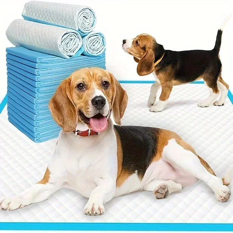 NONEDog Litter Super Absorbent Odor Control Disposable Diapers And Training Pads