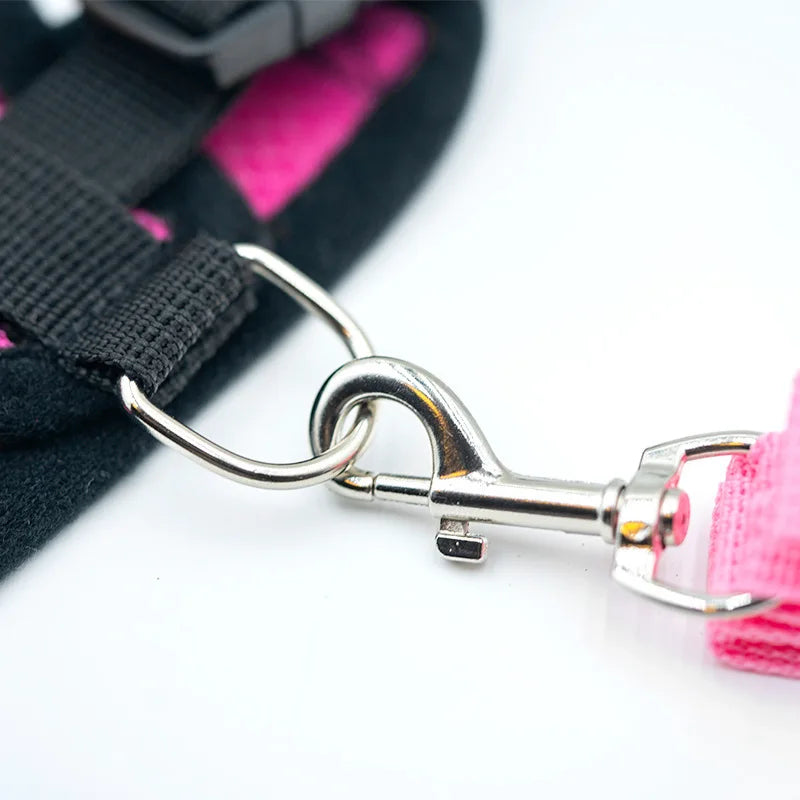 Breathable Dog Harness Chest And Back Set For Outdoor Use