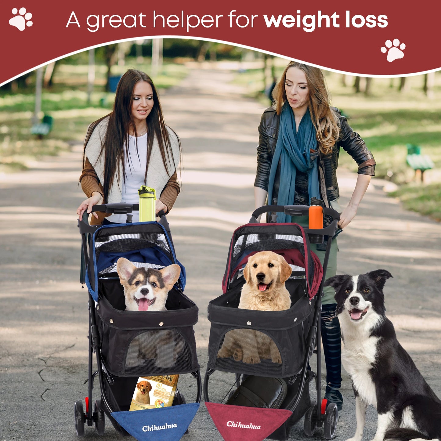 Chihuahua Pet Stroller For Small And Medium Dogs 3-Wheel Foldable