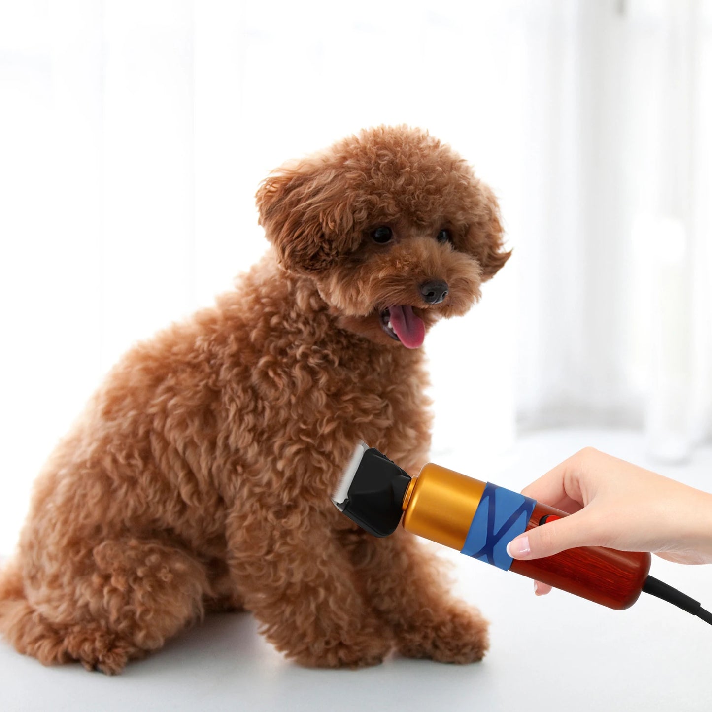 Pet Hair Clipper Low Noise Professional Electric Trimmer For Pets
