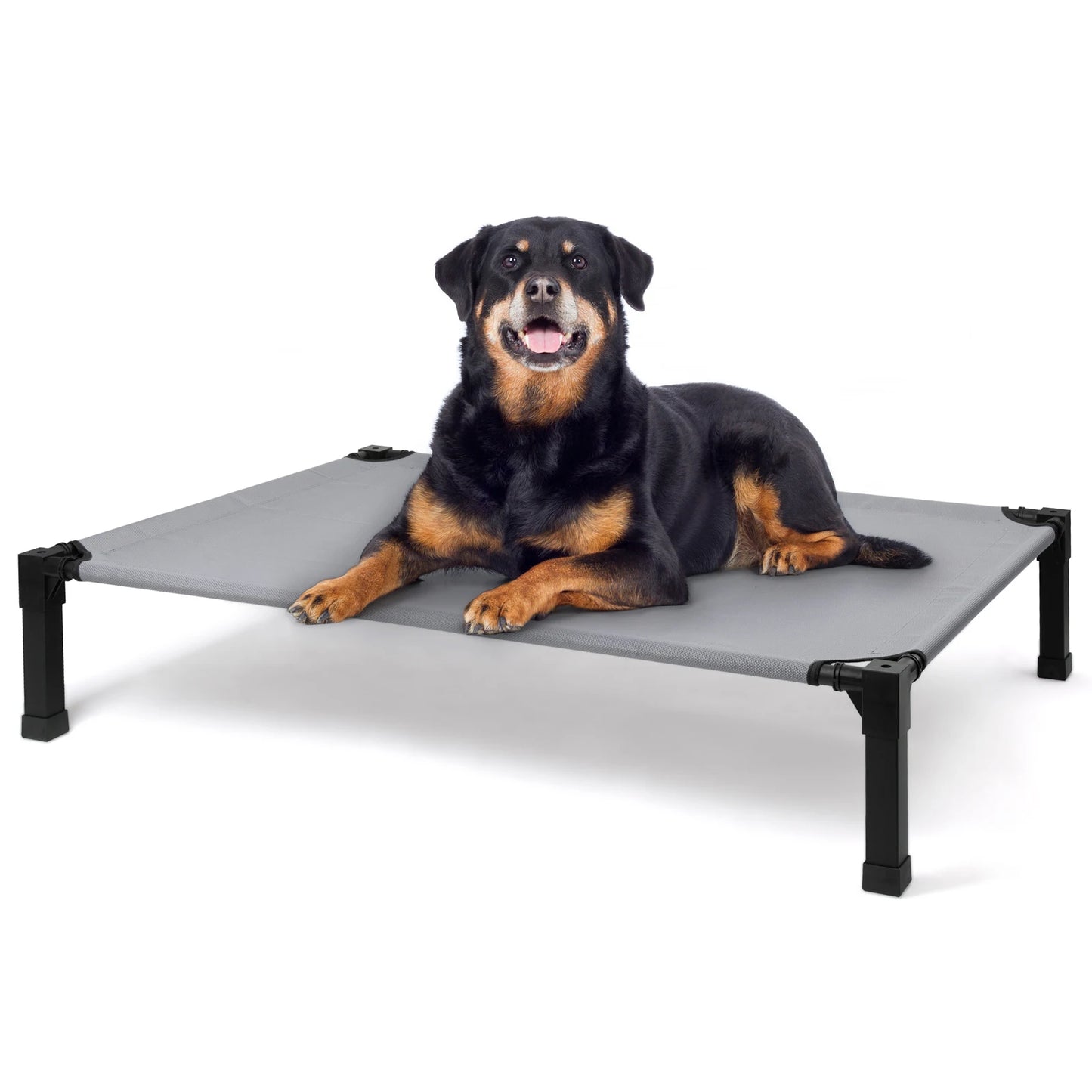Elevated Dog Bed Cooling Raised Pet Cot Chew Proof Mesh