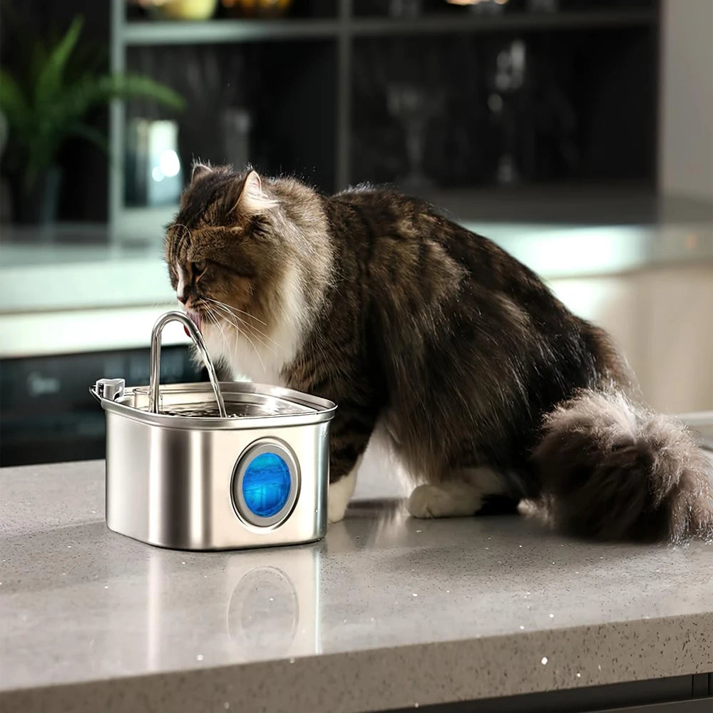 Stainless Steel Pet Water Feeder With Visual Window Drinking Bowl