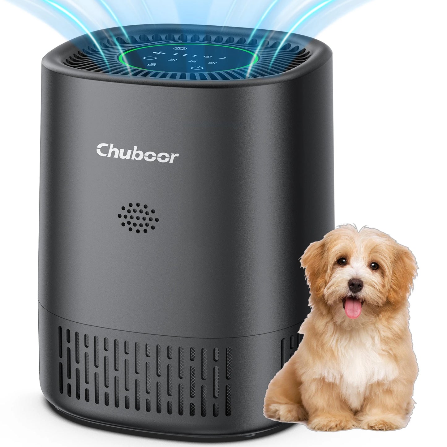 Chuboor Air Purifier for Bedroom Office with Sponge Filter
