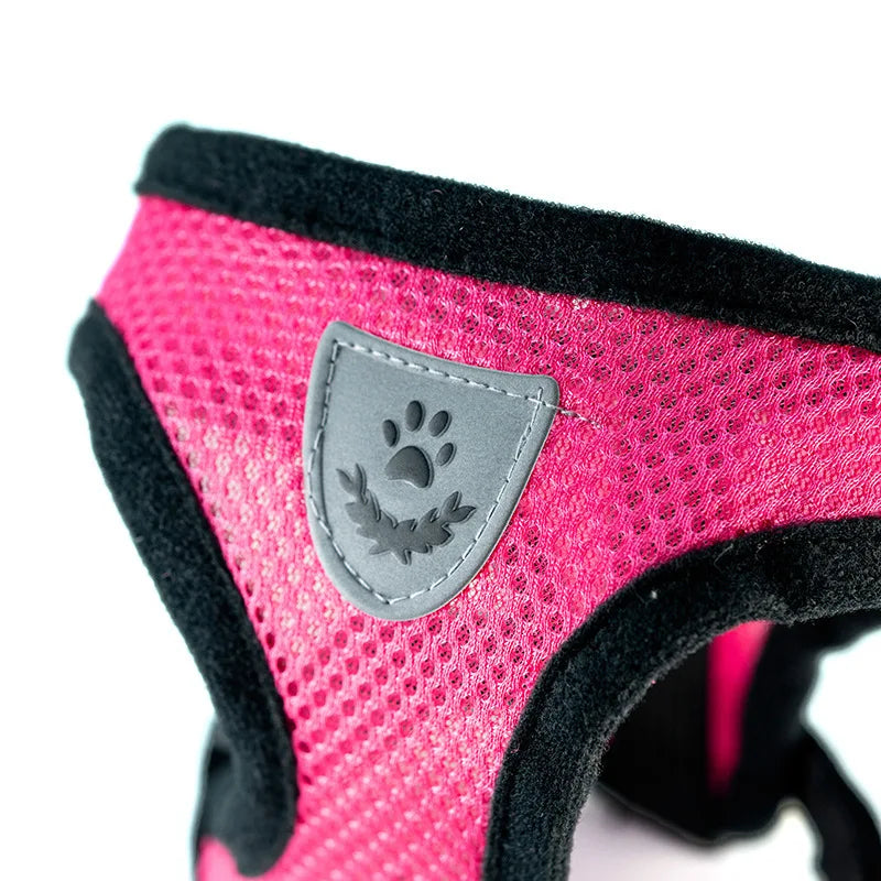 Breathable Dog Harness Chest And Back Set For Outdoor Use