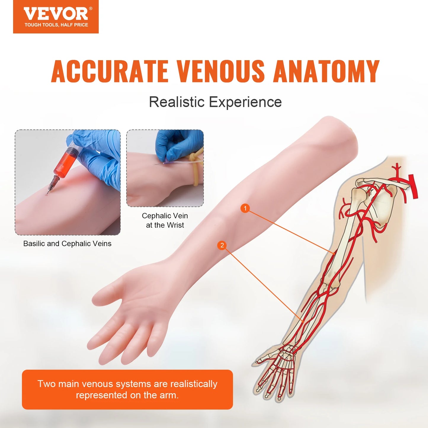 SucceBuy Phlebotomy Practice Kit IV Venipuncture Training With Carrying Bag
