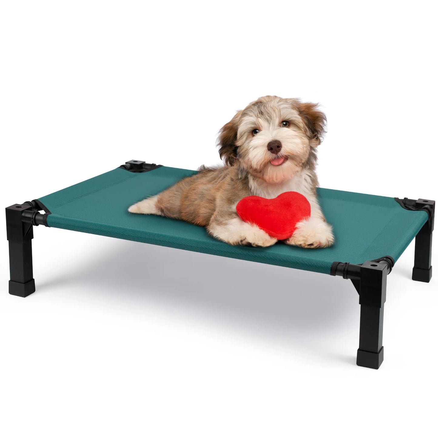 Elevated Dog Bed Cooling Raised Pet Cot Chew Proof Mesh