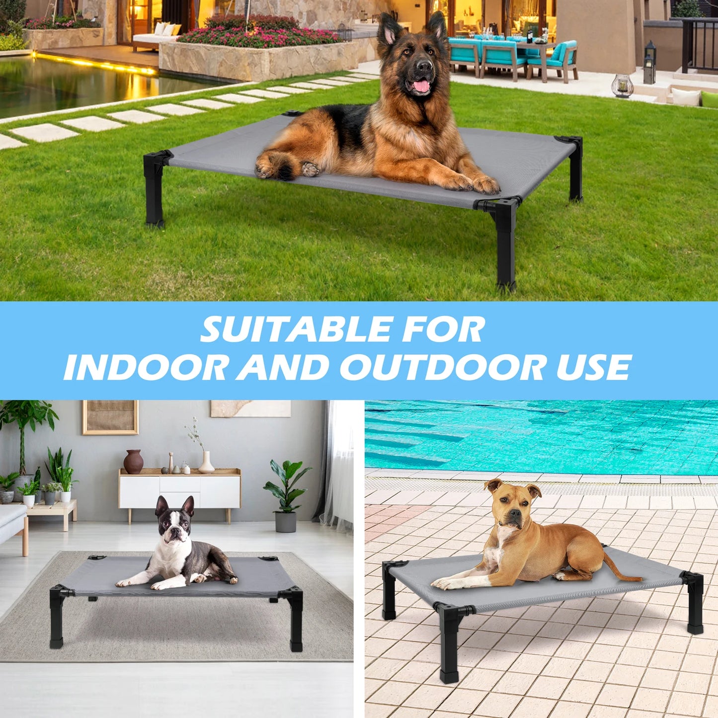 Elevated Dog Bed Cooling Raised Pet Cot Chew Proof Mesh