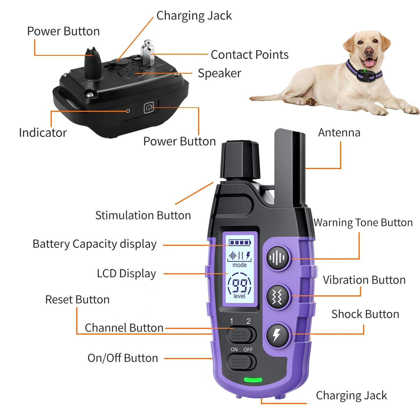 WXRPET 3300Ft Electric Dog Training Collar With Remote Control Waterproof