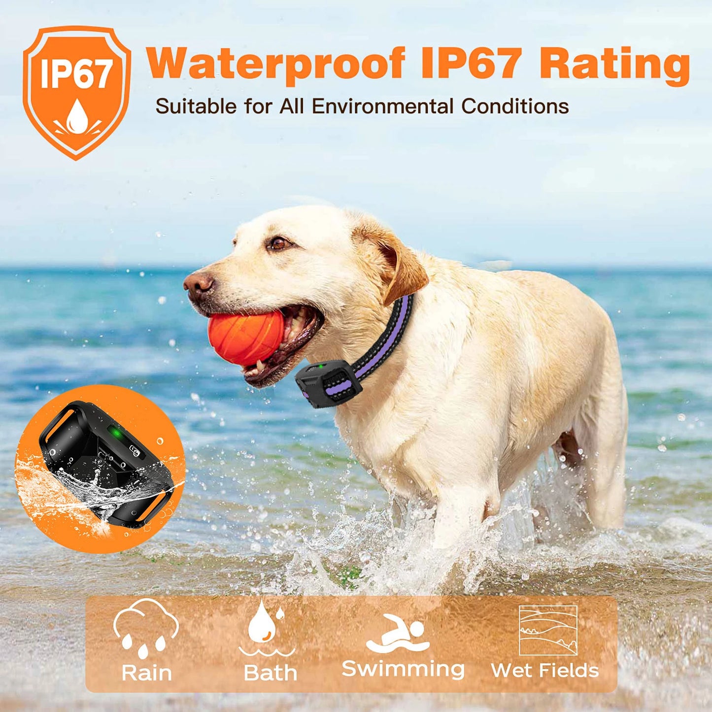WXRPET 3300Ft Electric Dog Training Collar With Remote Control Waterproof