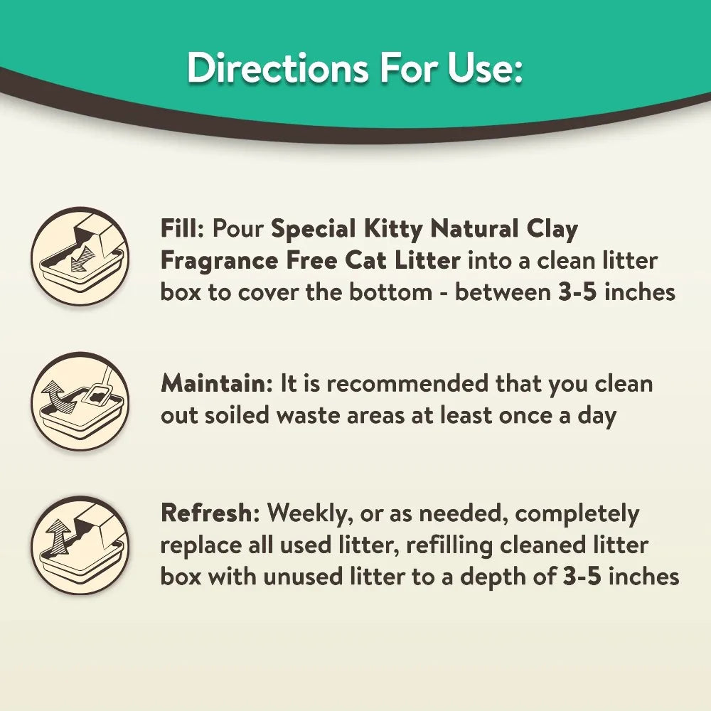 Clumping Clay Cat Litter Fresh Scent Odor Control 4 Pack