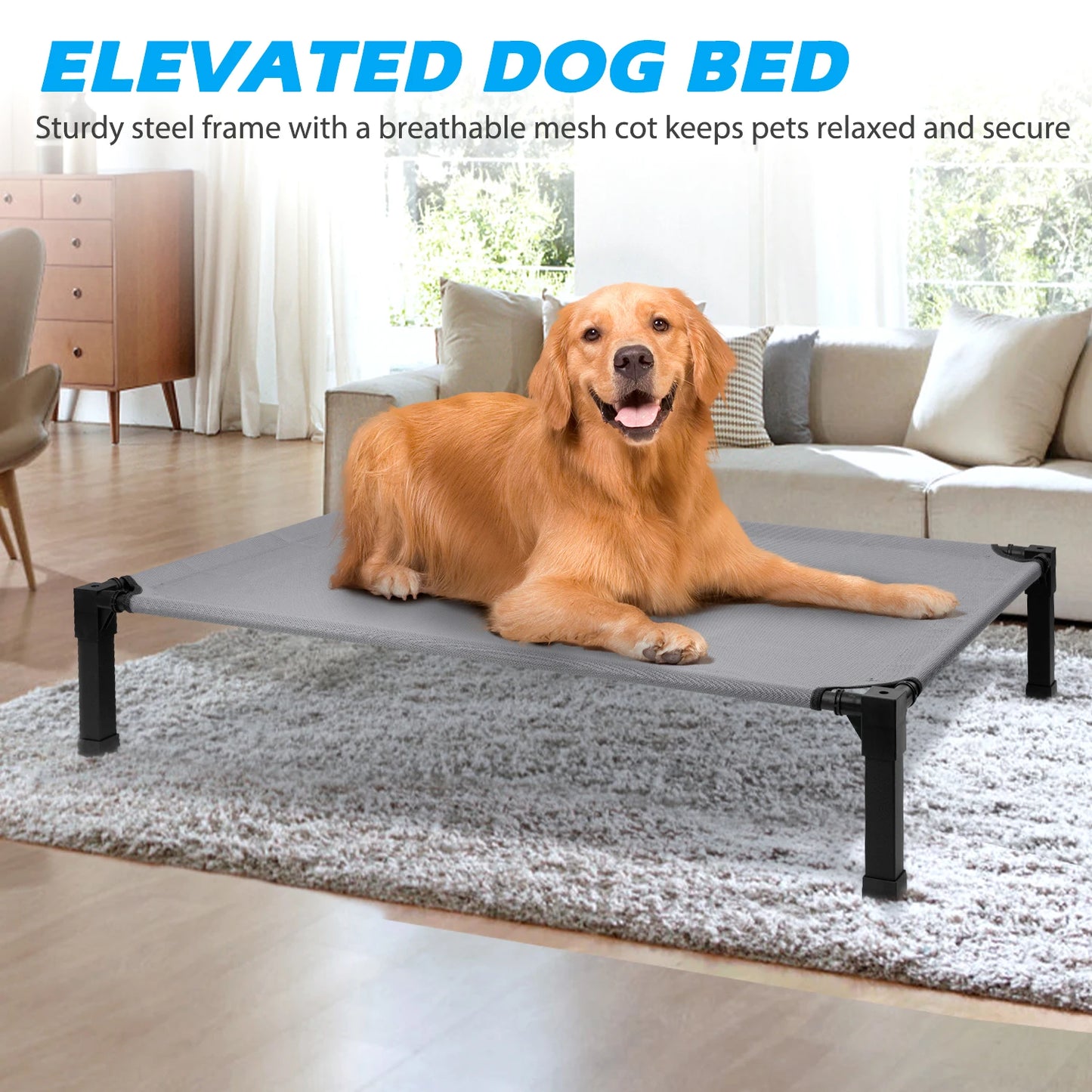 Elevated Dog Bed Cooling Raised Pet Cot Chew Proof Mesh