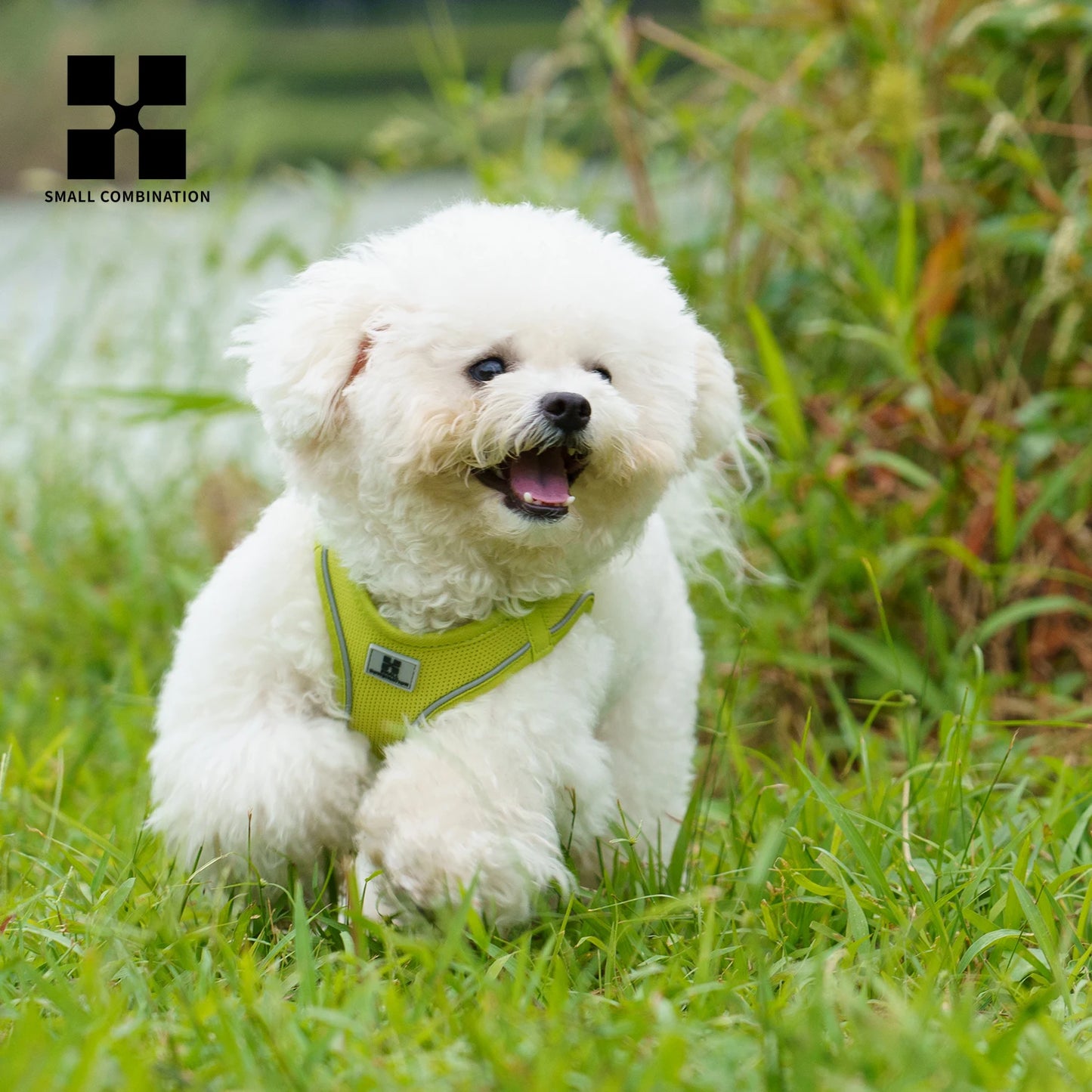 Small Combination Reflective Dog Harness Leash Set For Small And Medium Dogs