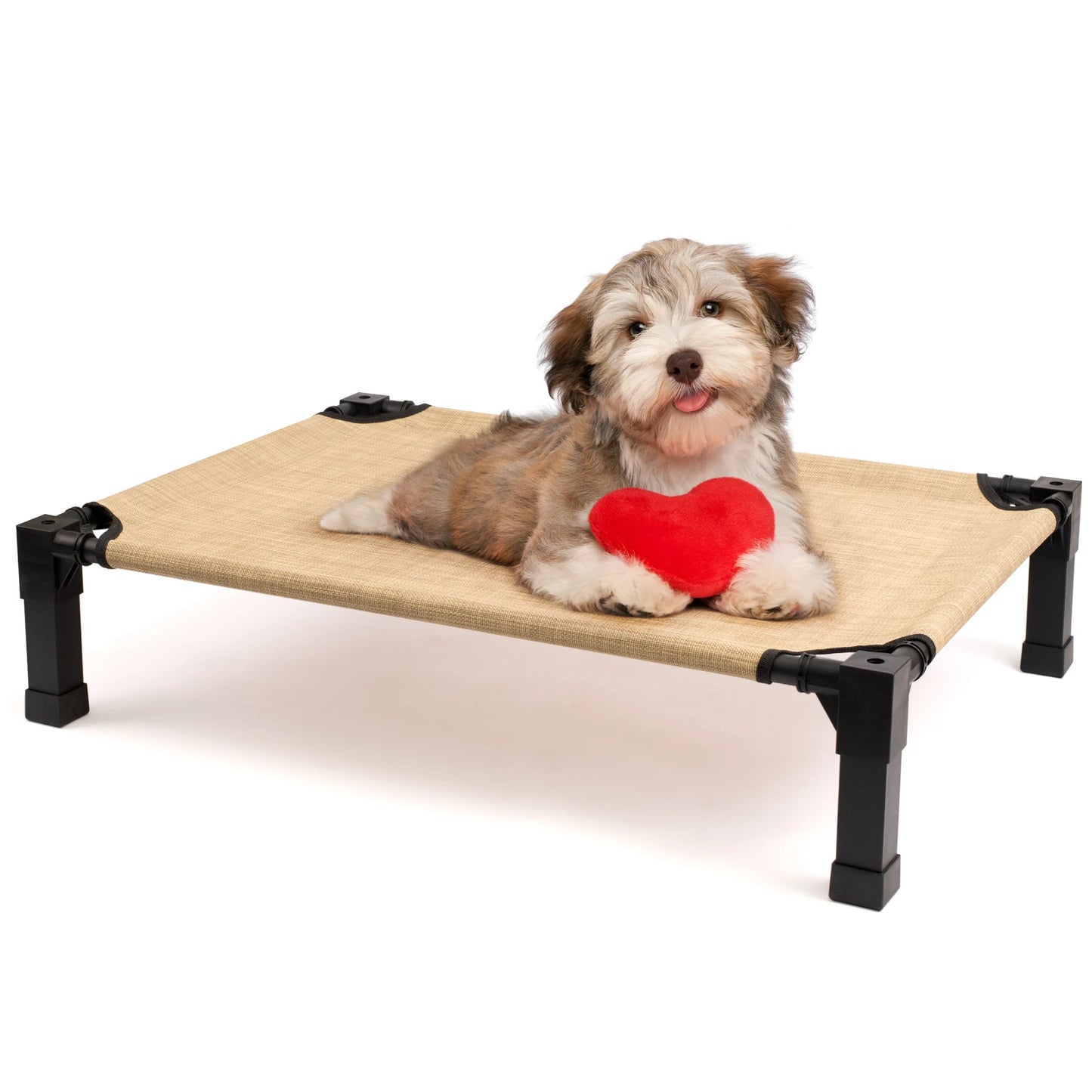 Elevated Dog Bed Cooling Raised Pet Cot Chew Proof Mesh