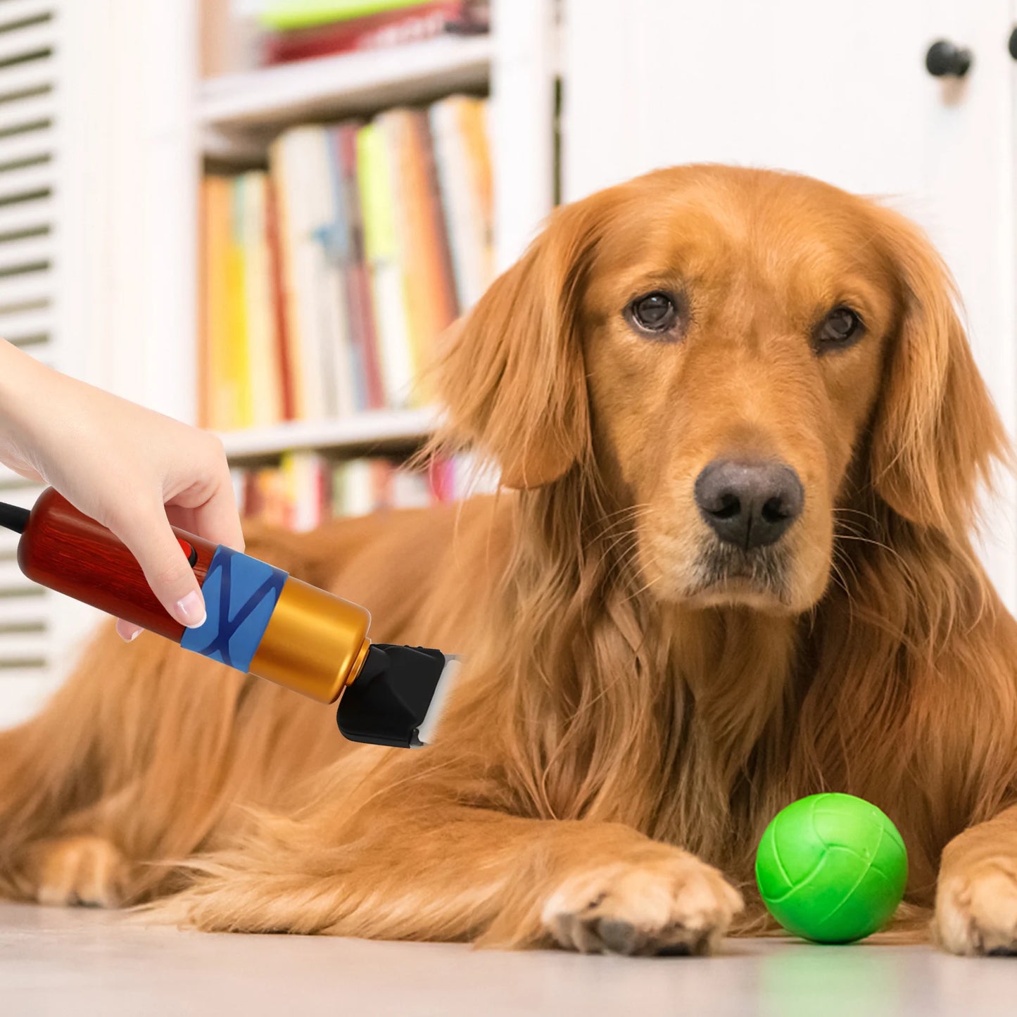 Pet Hair Clipper Low Noise Professional Electric Trimmer For Pets