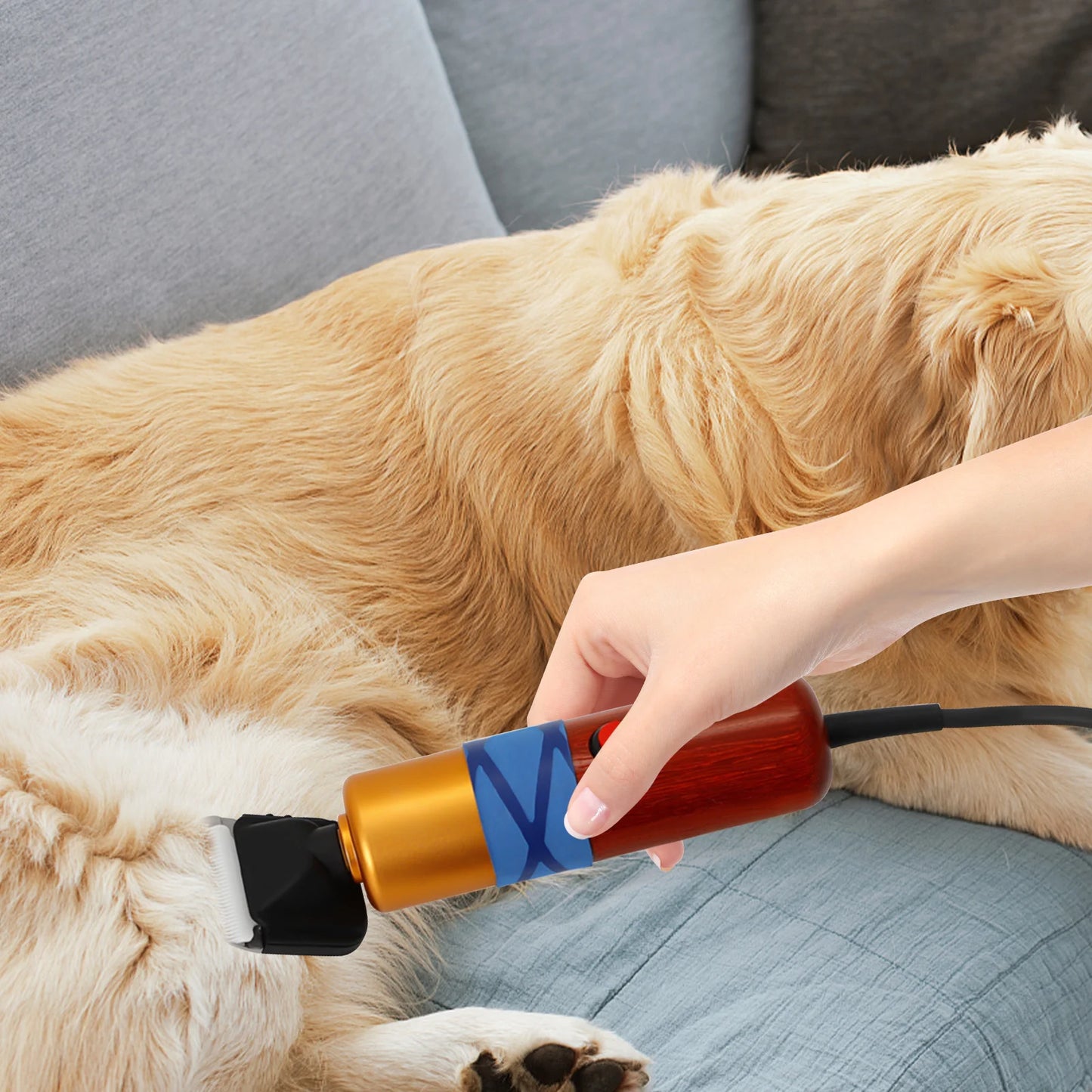 Pet Hair Clipper Low Noise Professional Electric Trimmer For Pets