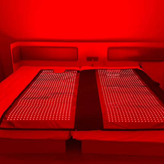 Full Body LED Sleeping Blanket For Infrared Light Therapy Home