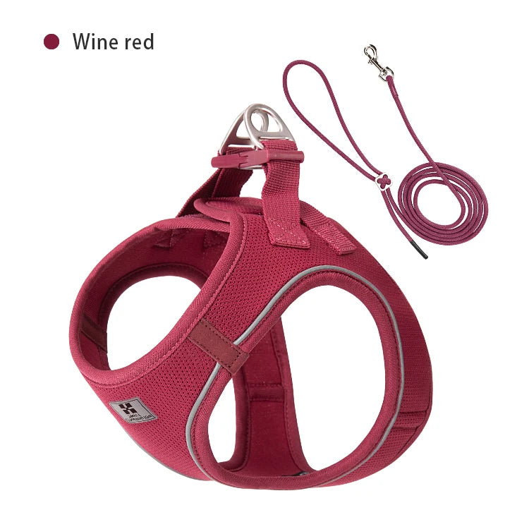 Small Combination Reflective Dog Harness Leash Set For Small And Medium Dogs