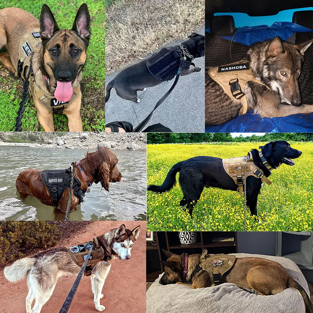 PETRAVEL Tactical Dog Harness Leash Set For Large Dogs