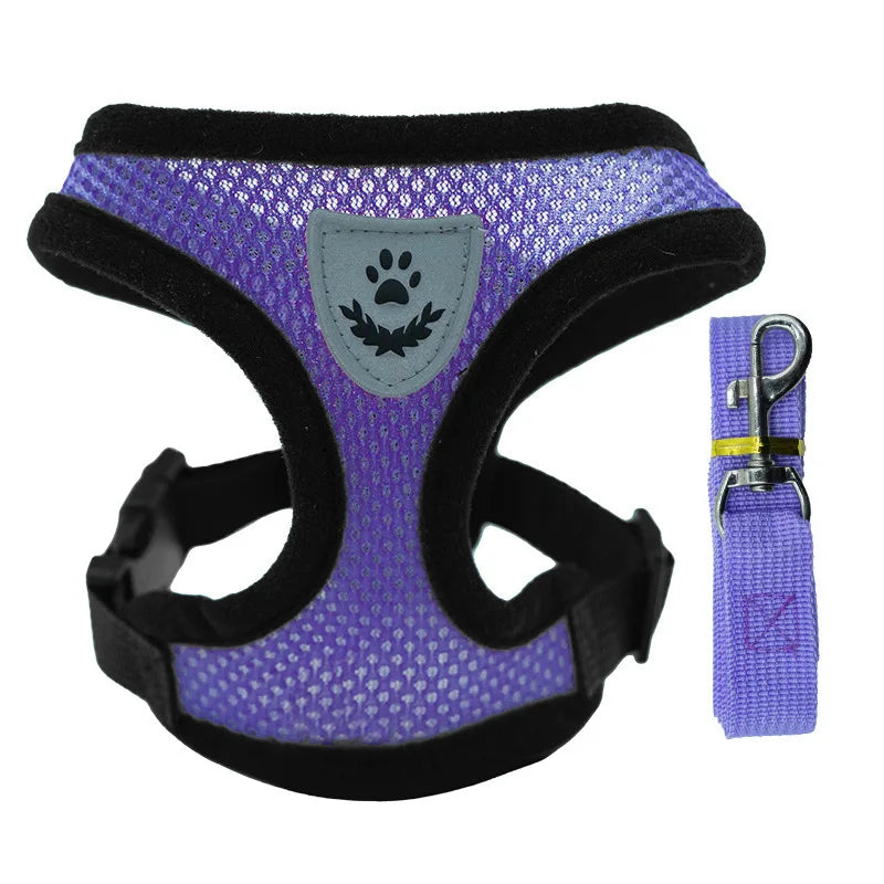 Breathable Dog Harness Chest And Back Set For Outdoor Use