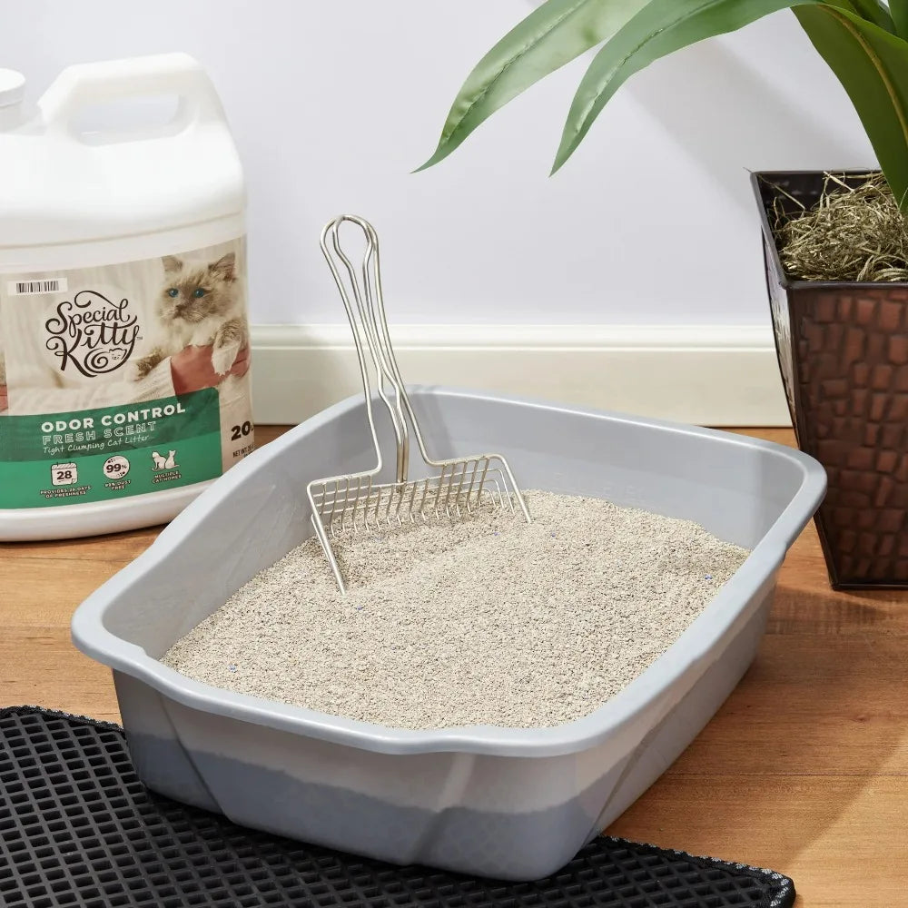 Clumping Clay Cat Litter Fresh Scent Odor Control 4 Pack